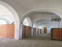 Vaulted stables at Srbice