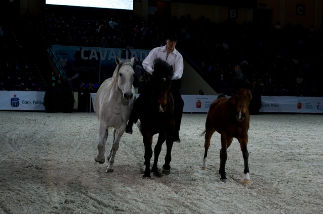 Cavaliada Warszawa photo 2