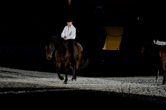Cavaliada Warszawa photo 6