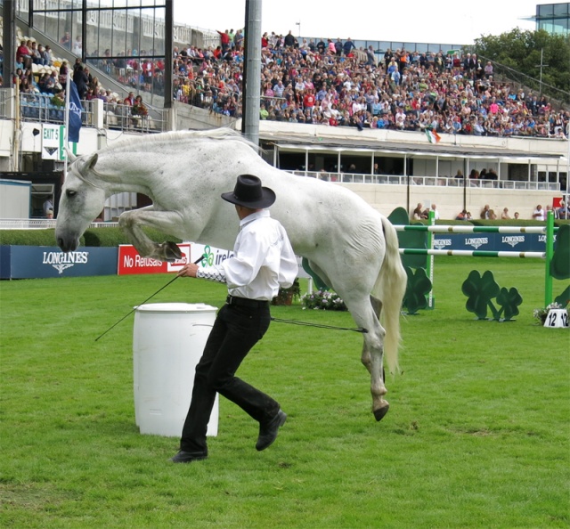 Dublin Horse Show Ireland photo 3