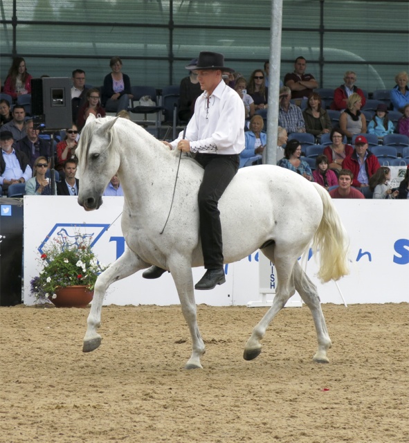 Dublin Horse Show Ireland photo 4