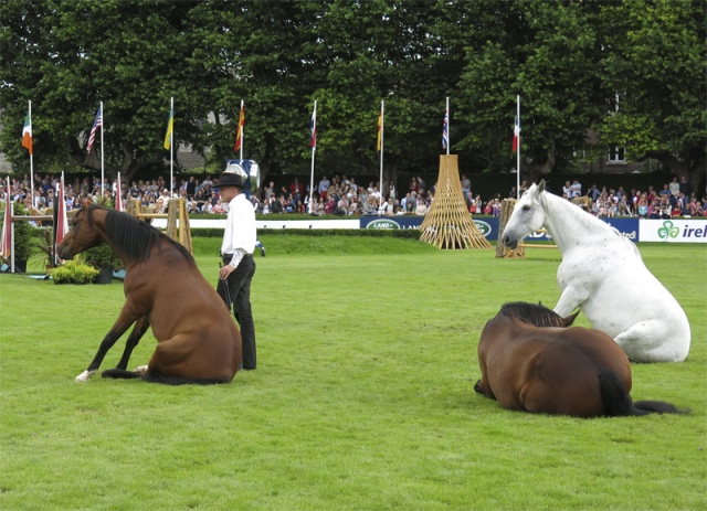 Dublin Horse Show Ireland photo 14