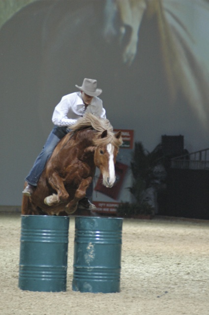 Equitana 2007 photo 1