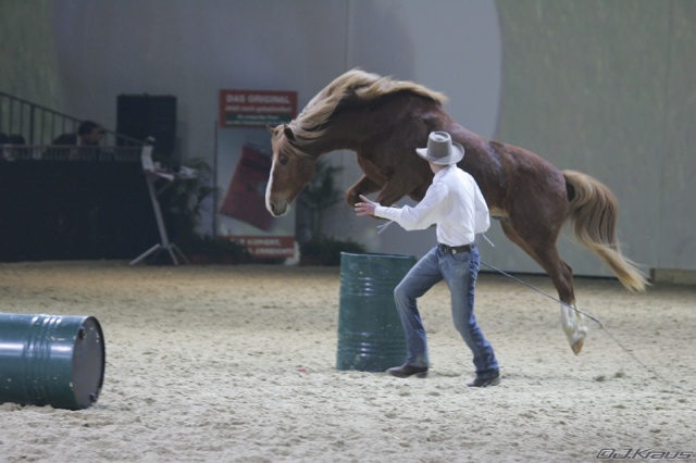 Equitana 2007 photo 2