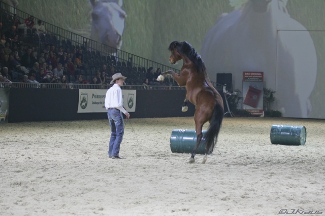 Equitana 2007 photo 3