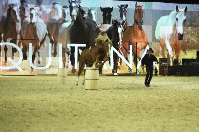 Equitana 2009 photo 1