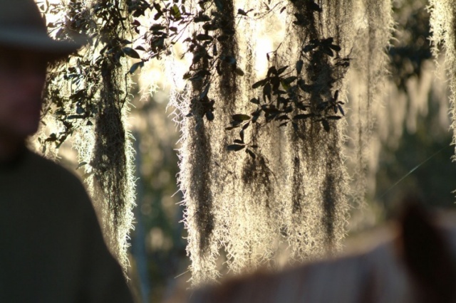 Florida photo 2