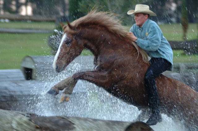 Florida photo 4