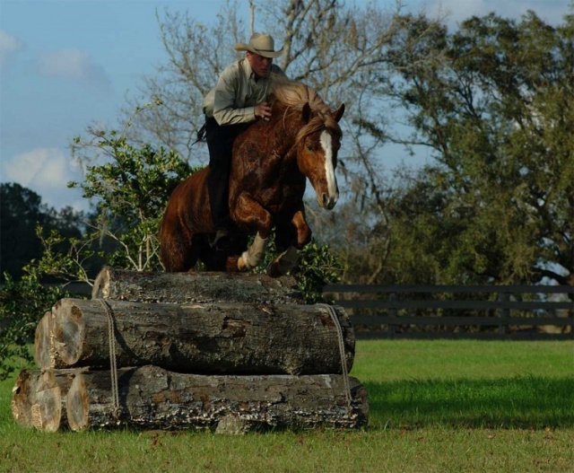 Florida photo 5