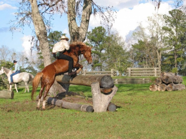 Florida photo 6