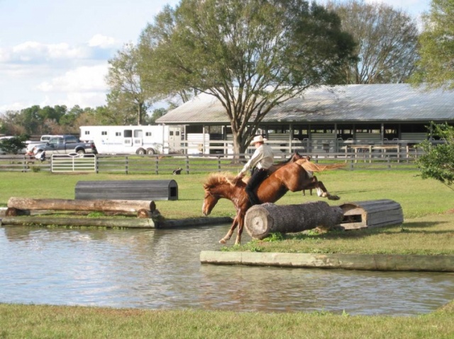 Florida photo 7