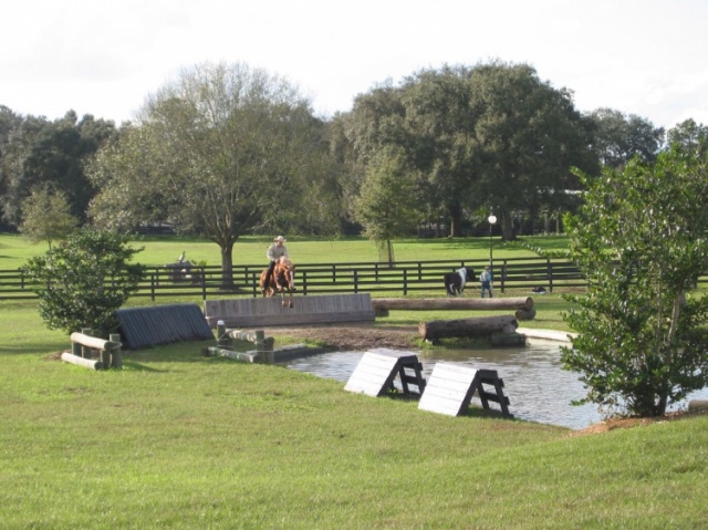 Florida photo 8