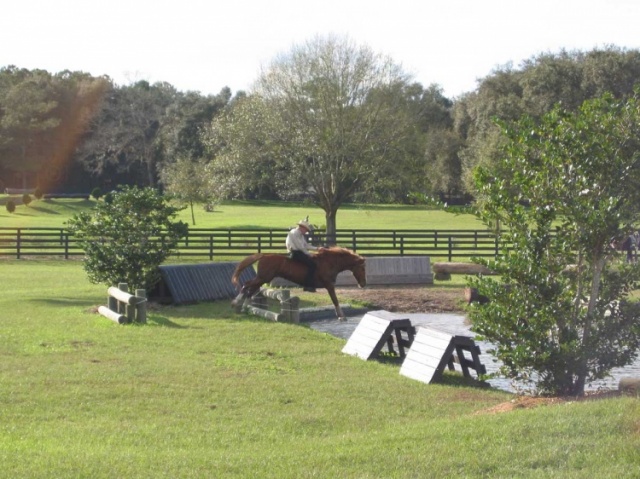 Florida photo 9