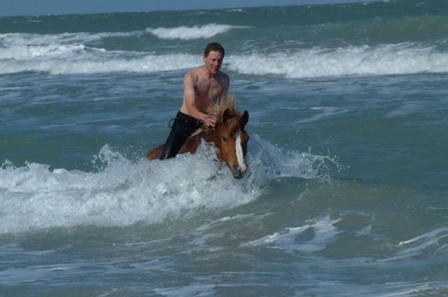 Florida photo 10