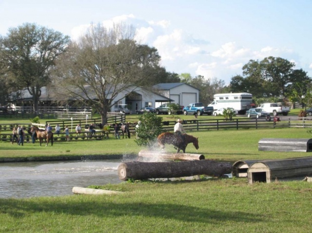 Florida photo 12