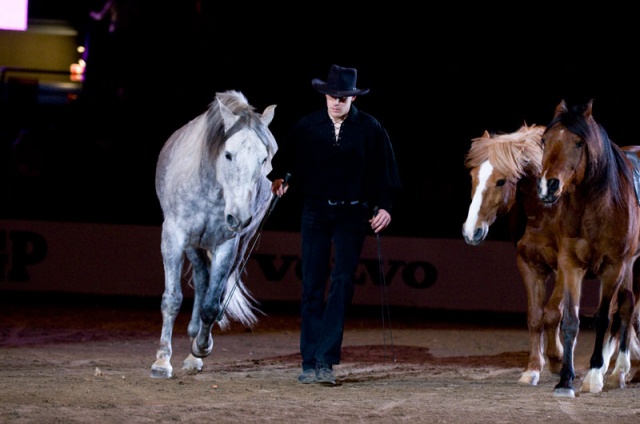 Göteborg Horse Show, Sweden photo 1