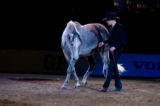 Göteborg Horse Show, Sweden photo 2