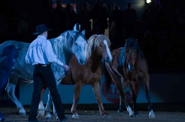 Göteborg Horse Show, Sweden photo 3