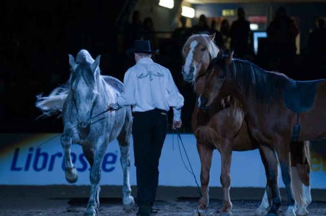 Göteborg Horse Show, Sweden photo 4