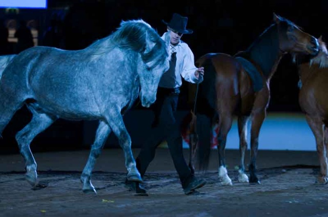 Göteborg Horse Show, Sweden photo 5