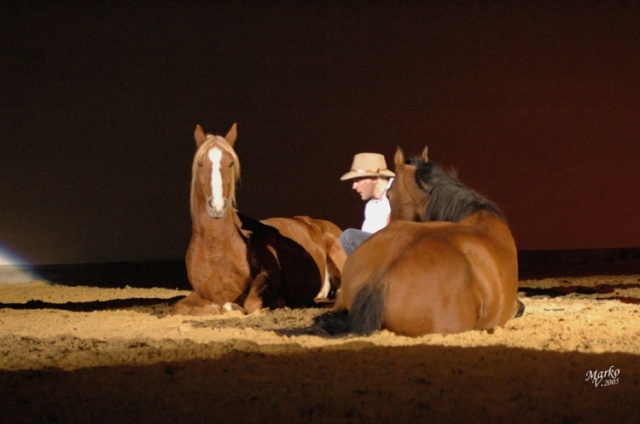 Show Borová photo 3