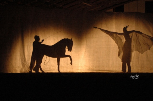 Show Borová photo 5