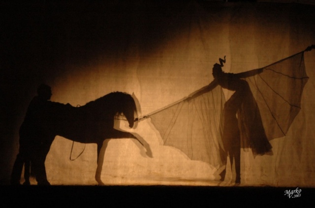 Show Borová photo 6