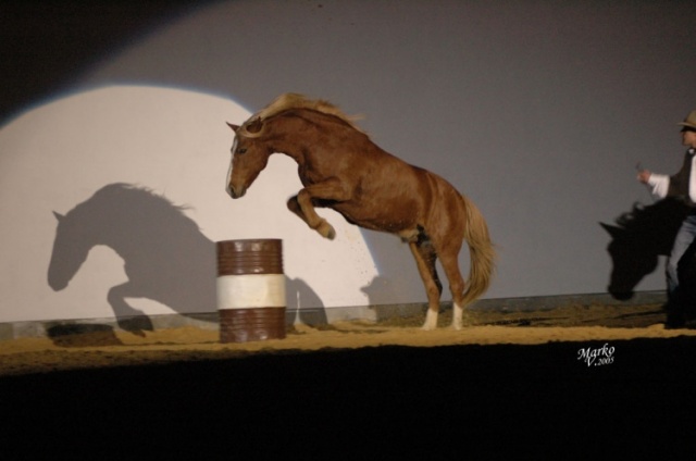 Show Borová photo 7