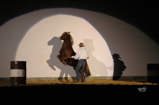 Show Borová photo 8
