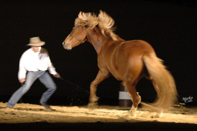 Show Borová photo 9