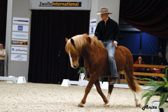 Zwolle International photo 2