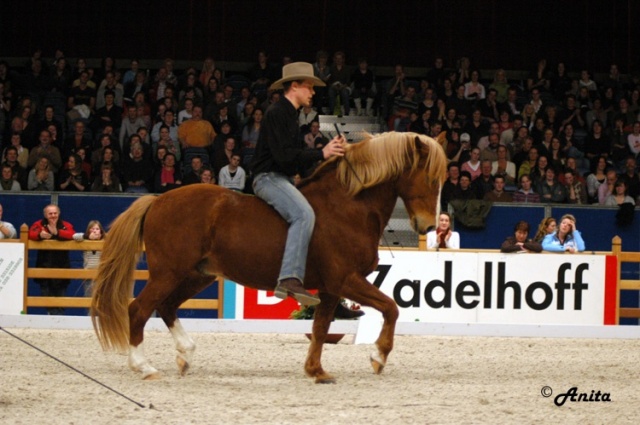Zwolle International photo 3