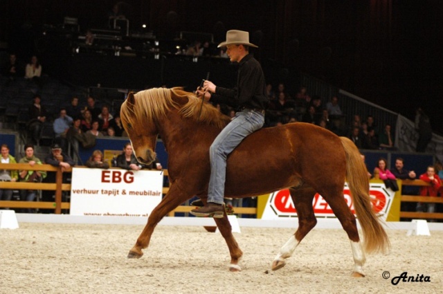 Zwolle International photo 4