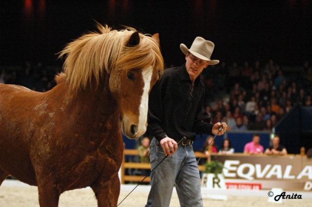 Zwolle International photo 5